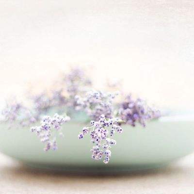 cq9电子游戏appapp下载